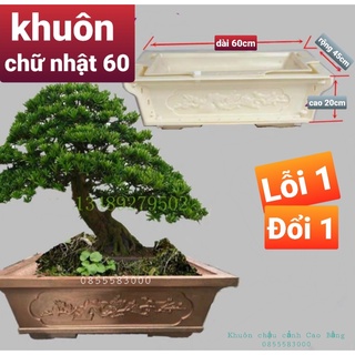 Khuôn đúc chậu cảnh chữ nhật 60
