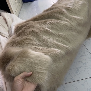 Thảm lông màu kem sữa dày