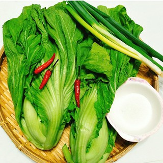 Hạt giống rau Cải bẹ dưa 20gr - DC