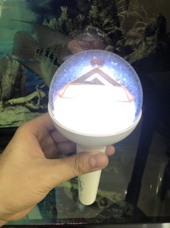 Lightstick SEVENTEEN