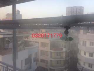T ren trong nối béc phi 21