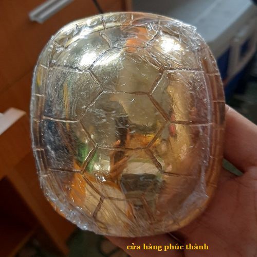 quẻ bói mai rùa vàng