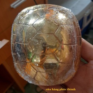 quẻ bói mai rùa vàng