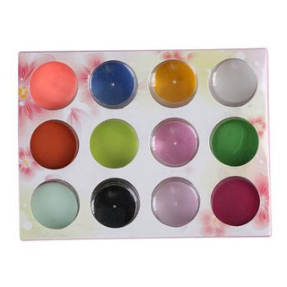 Set Bột Đắp Hoa 12 Màu (có ảnh thật ở cuối)
