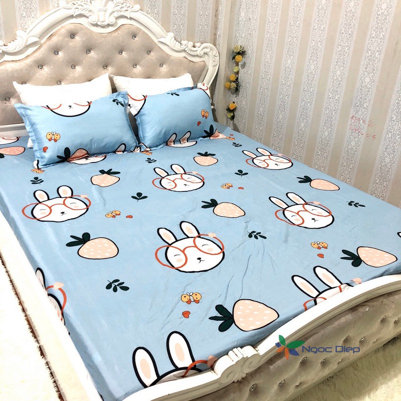 Sale ngẫu nhiên giá lẻ = giá sỉ bộ ga chun poly cotton m6 hoặc m8 | BigBuy360 - bigbuy360.vn