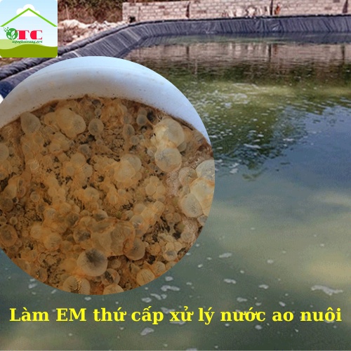 COMBO 1 gói EM gốc bột và 5 lít mật rỉ đường Dùng làm EM thứ cấp