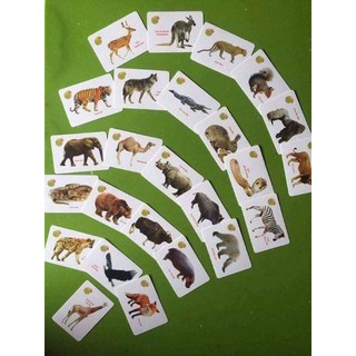 (thitun93) Muada2225 -  Đồ chơi cho bé yêu