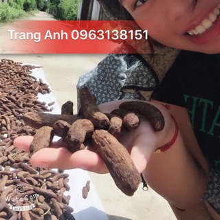 Chuối hột rừng Tương Dương nguyên quả