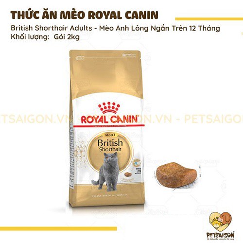 [CHÍNH HÃNG] ROYAL CANIN BRITISH SHORTHAIR ADULT - THỨC ĂN CHO MÈO ANH LÔNG NGẮN TRƯỞNG THÀNH - GÓI 2KG