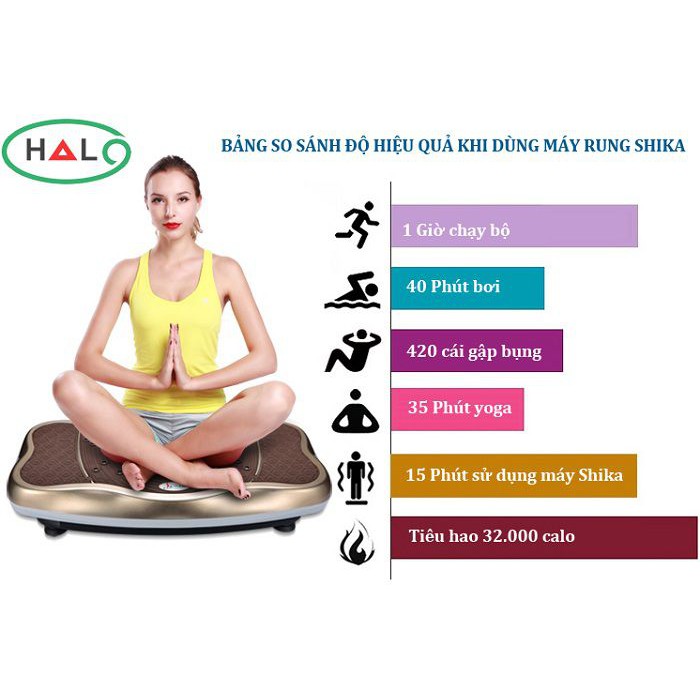 Máy dung lắc toàn thân