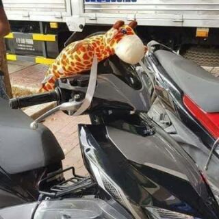 Gối đi xe máy