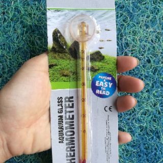 Nhiệt kế hồ cá