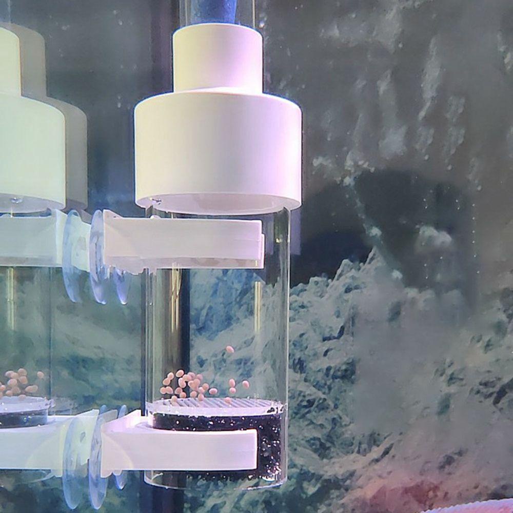 1 Lồng Ấp Trứng Cá Bằng Nhựa Acrylic