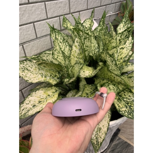 Loa bluetooth B&O Beoplay P2