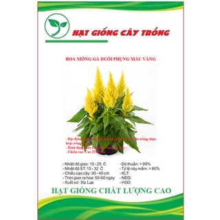 Hạt giống hoa mồng gà đuôi phụng màu vàng ct444 - gói 50 hạt
