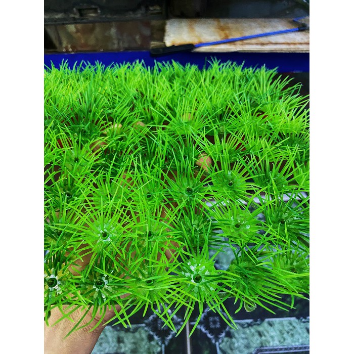 THẢM CỎ KIM NHÂN TẠO TRANG TRÍ HỒ CÁ NON BỘ 25X25CM