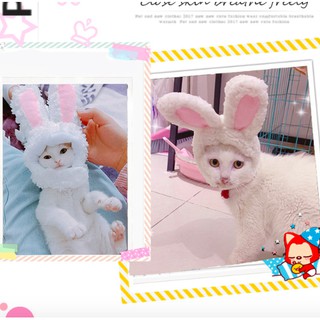 Nón bờm tai thỏ cute cho chó mèo