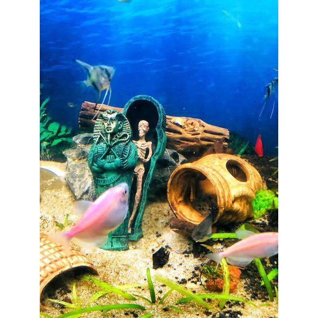 Mô hình xác ướp Ai Cập+quách cổ đại dùng trang trí bể cá,thuỷ sinh
