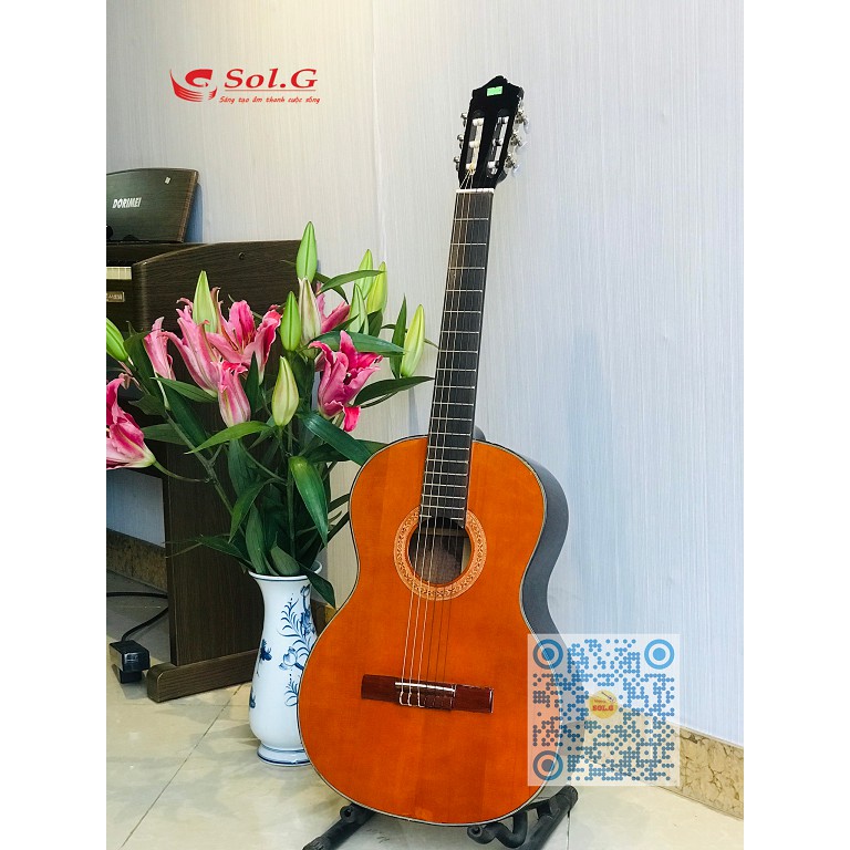 Đàn Guitar Classic Việt Nam SCG03 - Sol.G