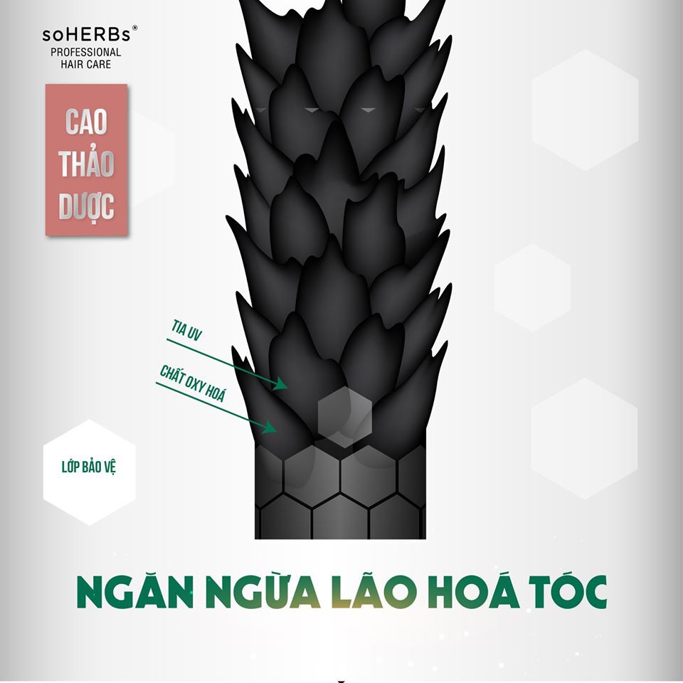 Dầu Xả CAO THẢO DƯỢC soHERBs