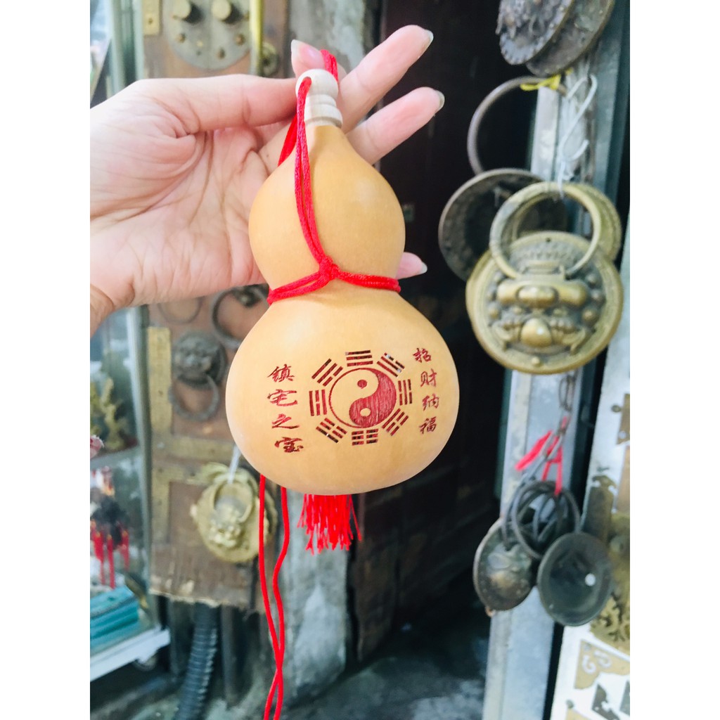 Quả Bầu Hồ lô Quả bầu thật treo phòng ngủ đàu giường vật phẩm phong thủy
