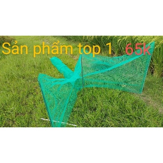 dớn đặt tôm cua cá mắt lưới 3 ly