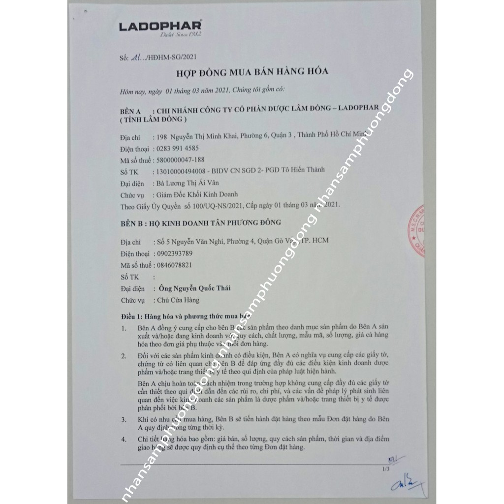 Trà Atiso Ladophar Hộp 100 túi lọc Đặc Sản Trà Actiso Đà Lạt món quà sức khỏe từ thiên nhiên Nhân Sâm Phương Đông nspd . | BigBuy360 - bigbuy360.vn