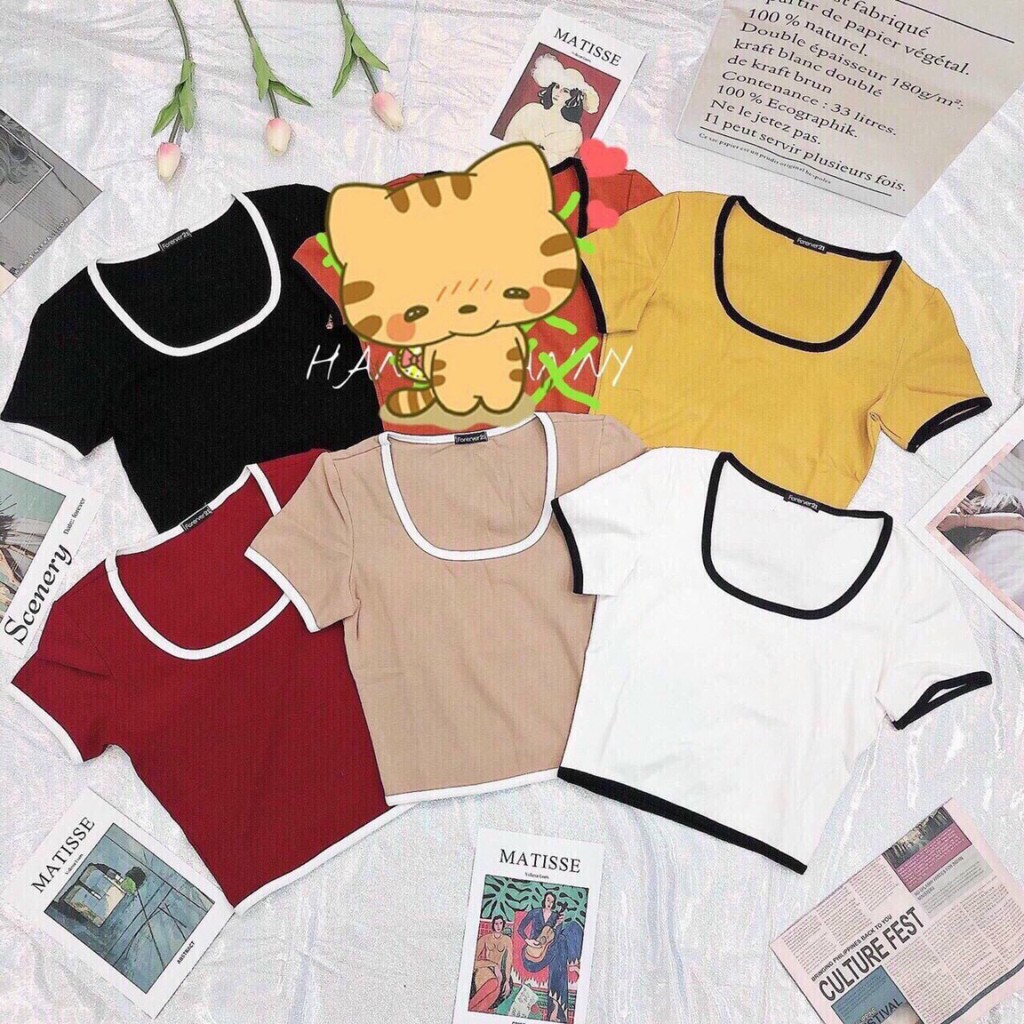 Áo thun ôm bo viền 💖