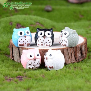 Cú Mèo Mini Phụ Kiện Tiểu Cảnh, Chậu Cây, Bể Cá