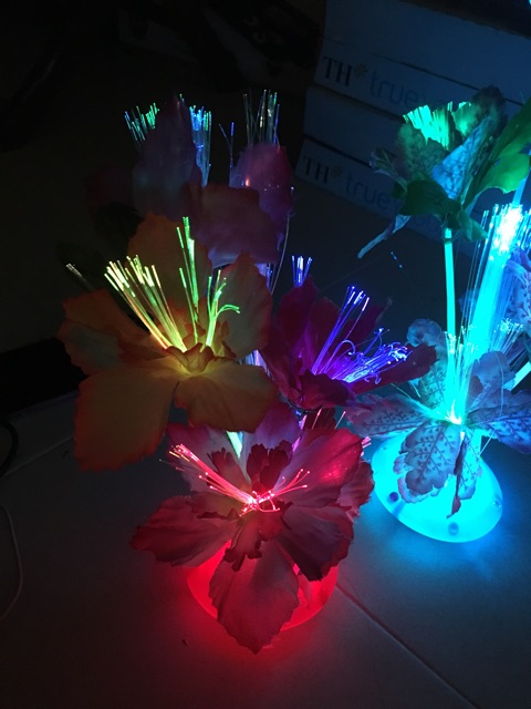Chậu hoa led phát sáng đổi màu siêu đẹp