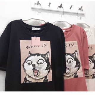 Hot Áo thun áo phông tay lỡ unisex hs-145 free size <65kg chuẩn