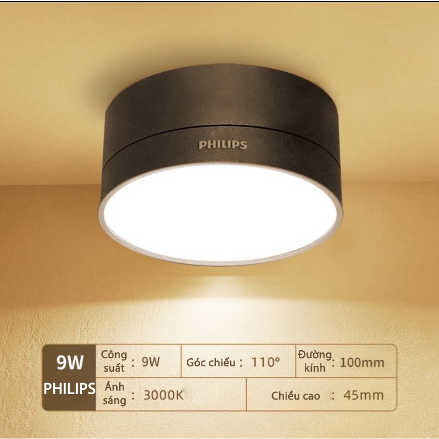 Đèn Philips 9w D100 trang trí ngoài trời, trong nhà