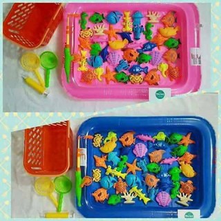 Bể câu cá tại nhà cho bé