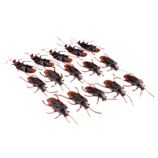 Bộ 10 Con Gián Đồ Chơi Độc Đáo