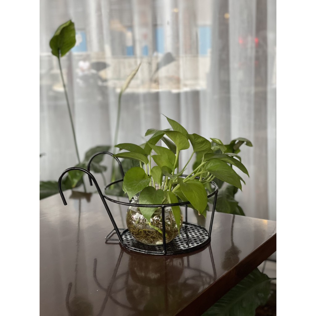 Giỏ treo sắt tròn ban công có đế lót + sơn tĩnh điện bộ 2 cái