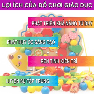 Đồ Chơi Nhím Luồn Hạt Hoa Quả Cho Bé