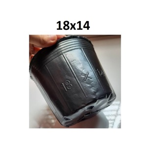 1kg bầu ươm cây 18-14