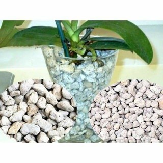 Đá Pumice ( Đá bọt núi lửa) _ thoát nước tốt, giữ ẩm tốt, tốt cho bộ rễ_ trồng lan, sen đá, cây kiểng