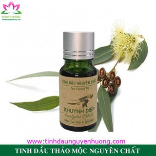 Tinh Dầu Khuynh Diệp - Eucalyptus Globulus Oil