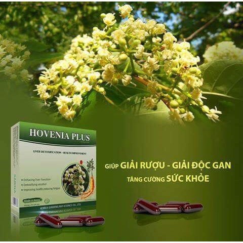 Hovenia Plus 💞 Giảm 5K Đơn Hàng Sau [Thuốc Mát Gan] Thuốc Bổ Gan Hovenia Plus Nhập Khẩu Từ Hàn Quốc