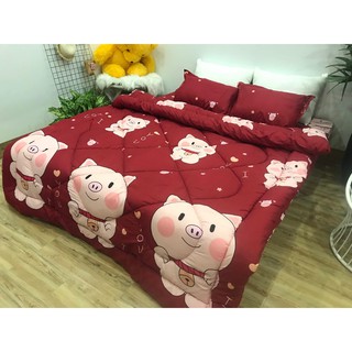 CHĂN PHAO TRẦN BÔNG ẤM ( Chát để gửi mẫu lấy hoặc xem thêm mẫu )