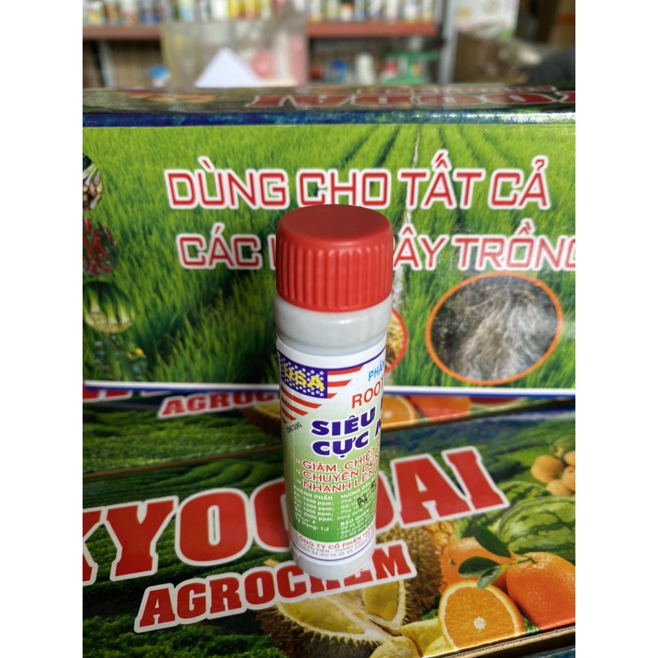 Siêu kích rễ, giâm chiết cành Root Kinh