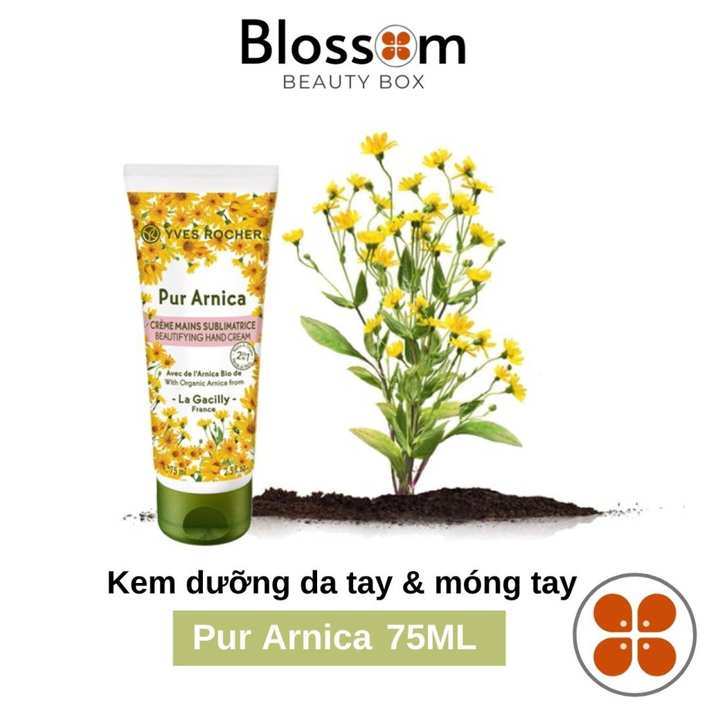 Kem dưỡng da tay và móng tay Yves Rocher Pur Arnica Beautifying Hand Cream 75ml