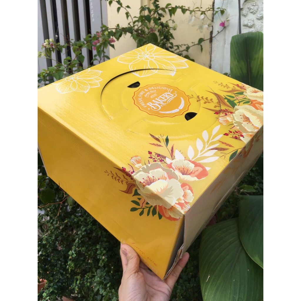 10 hộp bánh kem 23x23x18, hộp bánh sinh nhật đẹp, giá rẻ