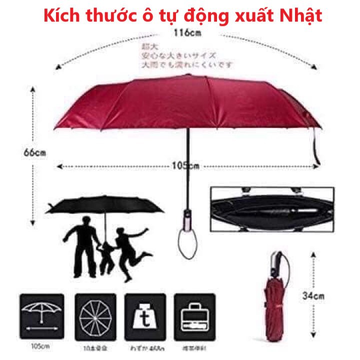 Ô dù tự động mở và gấp bằng nút bấm (Hàng xuất Nhật) loại 10 nan rộng 115 cm - NPP HS Shop Thủ Đức