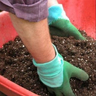 Đất sạch trồng cây