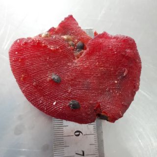 Chanh dây sấy dẻo / Dried passion fruit