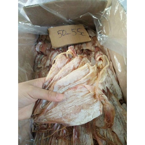 🐙🦑1 con KHÔ MỰC CÂU TẠI CẢNG SA Kì - QUẢNG NGÃI.
