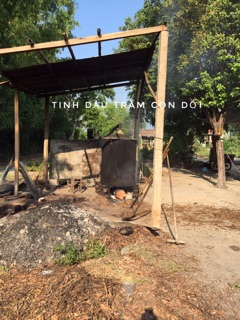 Tinh dầu tràm Con Dơi ( Chưng cất thủ công)