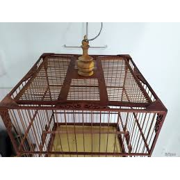 Móc và Nậm Lồng Chim- combo rẻ giúp tiết kiệm chi tiêu cho các chim thủ